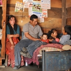  ��� 2017 ���� ������������� �������� 