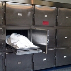  ���������� ����� ������ ����� �������� 