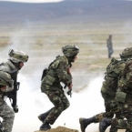  ������������ �������� ���������������� ����������-����������� ������ 