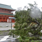  ����� ����� ������� ���������� ����������� 