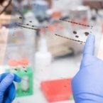 ����: stickers.panarmenian.net