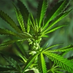  ������ ������ ����� ����������� ��������� ����������� ������ ������� 