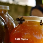  ������ �������� �������� ������������ ��������� ���� 