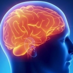 Researchers devise new brain implant