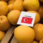 ՌԴ-ն արգելել է վարակված ցիտրուսայինների ներկրումը Թուրքիայից