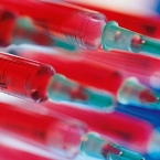  ��� �������� �������� ���� ������� ���������� ������ 