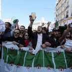  �������� ������ ���������� 