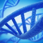  ������������ �������� ������ ��� ������� ����� ����������� ���� 