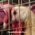  ���� ���� ����� ������� �������� 