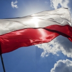  ������ ���������� ���������� ��������� �������� ����� ��������� 