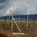 ����: stickers.panarmenian.net