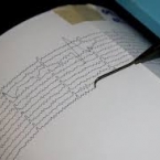  ������������� ������������ ������� ���������� ������ 