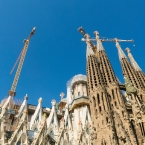  ������ ��������� ������ 137 ��������� ������������� ���������� ����� 