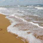  ������ ������ �������� ������� ���� �������� ������� 