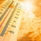  ������ �������� ������ ������� �������� ��������� 