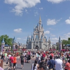  disney �������� 175 ������������ ����� 