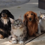  ��������� ��������� ��������� ����� ����� 