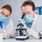  ����������� ��������� ���� ������� ������ ����� ������������� 