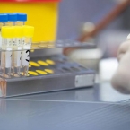  ������ ����������� ����������� 