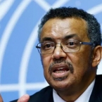 ����: stickers.panarmenian.net