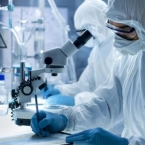  ������ ������� ���������� ���������� covid-19 ������� ������� ������� 