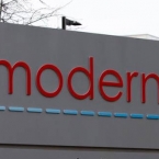  ���� �������� ������ ������������ moderna ��������� 50-60 