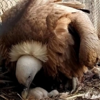  ������� ������� ������ ��������� ������ ������������ ���� 