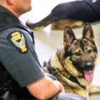  ��� 10-������ ������� ������ 300 000 ����������� ������� 