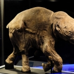  ����� ���� ��������� 558 ����� ������������� 