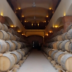  armenia wine  5000     