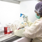  ������� ���� ��������� ����� covid-19 