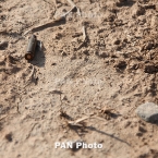  ����������� ������� ��������� ������� ���� 106 �������� �������������� 