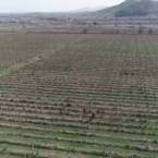  �������� �������� �������������������� ������ ���������� ����������� 