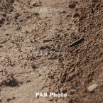  ������ �������� �������� �������� ����������� ������ ������� 