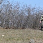  ������ ��� �������� �������� ������������ ��������� �������������� ���� 