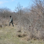  ������� ������������ ������ ��� ��������� �������������� 