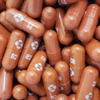  �������� ������ ���� �������� �������� ������������ ������� covid-19 