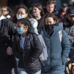  ��� ��������� ���� ������������ ������� covid-19 ����������� ��������� 