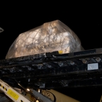  ������ ������� pfizer ������� ������� 