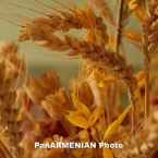  �������� �������� ����� �������� ������ ���� 