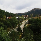  ����-��� �������� ������������ ����� ��������������� �������� 