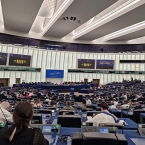  ���� ��������� ����������� ���������� ����������� �������������� ��������� �������� 