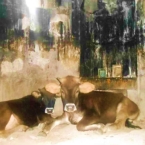 ����: stickers.panarmenian.net