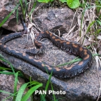  ���������� ������� �������� ���� ����� 