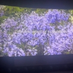 ����: stickers.panarmenian.net