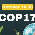  cop17 ������� ������� ������� 2026 