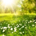 ����: stickers.panarmenian.net