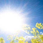 ����: stickers.panarmenian.net