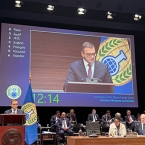  ������� ���������� ����������� ������� ����������� ���� 