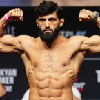 ����: stickers.panarmenian.net